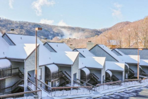 Alpine Condo & Cozy Bear Condo